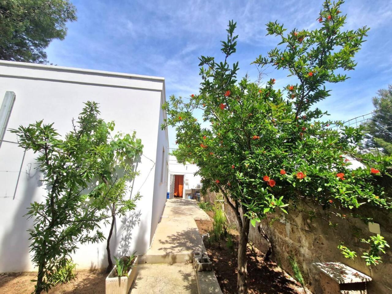 Villa Turchese Santisidoro Nordsudcasavacanza Torre Squillace Exterior foto
